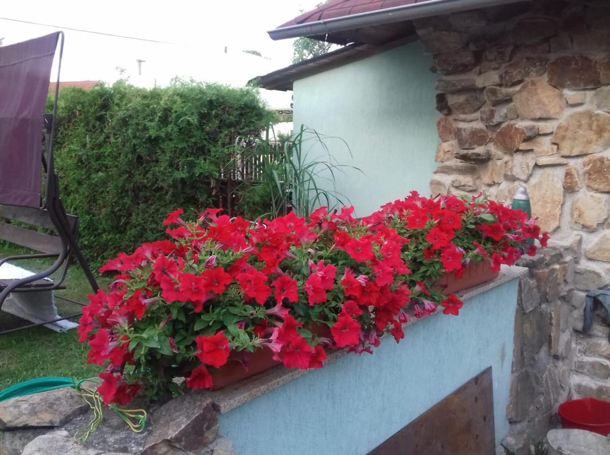 Apartmany Na Hline Třeboň Exterior foto