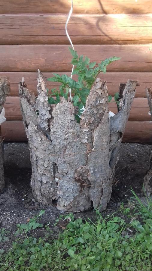 Apartmany Na Hline Třeboň Exterior foto